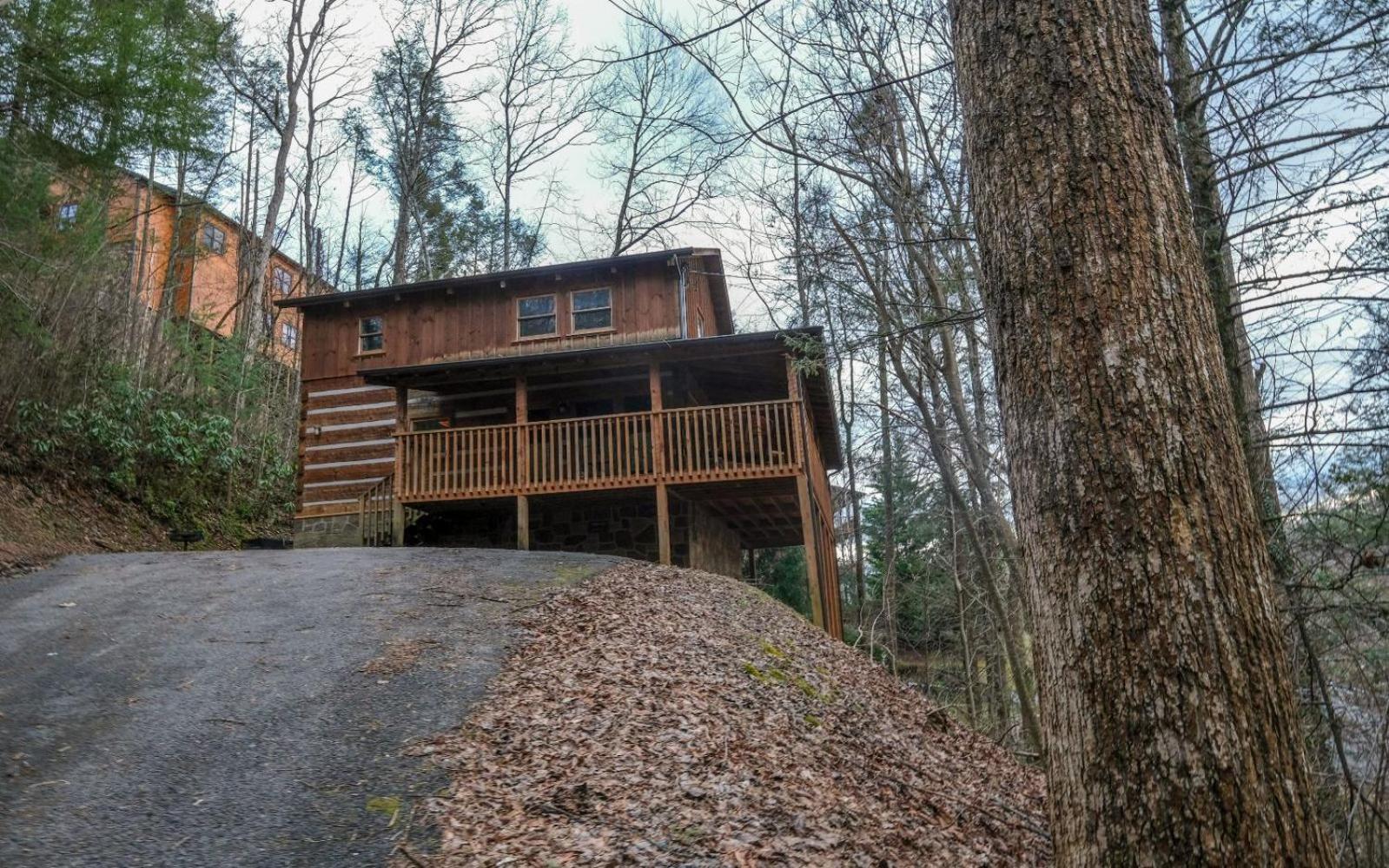 Viva La Vino Villa Gatlinburg Exteriör bild